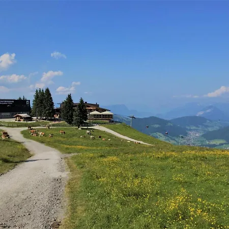 Zur Alten Schmiede By Interhome Daire